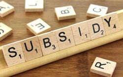 subsidy consltants