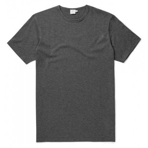 Men Grey Round Neck T-Shirts